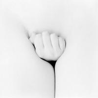 ���� ������������