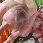 ���������� ������������ ����