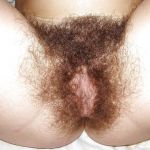 �������� ��������