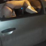 ��� ���� � ������ �� ��������