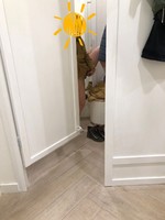 � ����������� ��������� ������