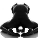 ������ ������� ������ ������