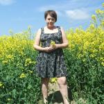 ������ ��������� ����