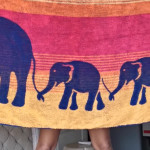 ������ ��������