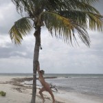 �������� 37 ��������� �. 2