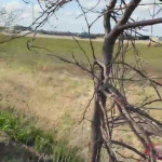 ����� ������� ��������� �� ��������