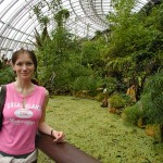 ������� �����