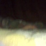 ������� �������� �����