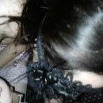 ���������� �����������