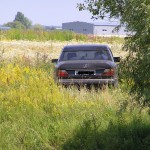 ����� - ��������