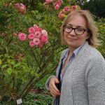 ������� ������� ���