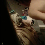 ����� �� �������� ��������