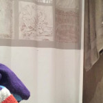 ��������� � ���� �� �������� ��������