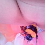 �������� �����