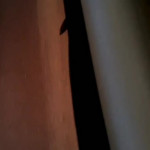 ���� ��������� � �����!