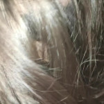 ����� �� ��������.