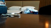 ��� ������ ����� ����