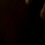 ������� ������� ����� ����