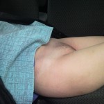 � ������