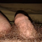 ��� �����