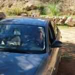 ������ �����.