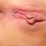 ����� ���� �������