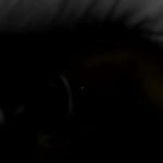 ������ ������ �����... ��� �������...