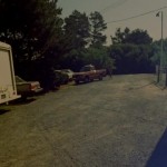 ����� �����, 1983 ���� 1 �����