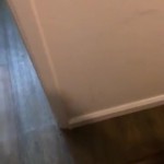 ���������� �� ����� ����