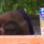 ����������� ����������� �� ����!