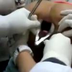 �������� �������� - ����� ������� �������.