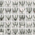 ��� ����� ��������