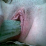 ������� ����� ���� �������