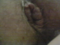 ��� ���� ��� ����� ����� �����.