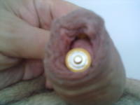 ���� ����