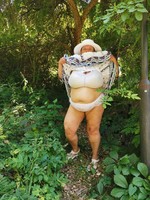 ���� ����������� ������