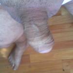 ��� ������ �����