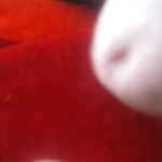 ���������� �����