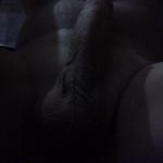 �������� �����