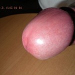 �����-�������