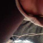 ���������� ���