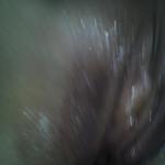 ����� � ������ ����