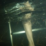 ��� ��� �����