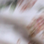 ���������� �� ������.