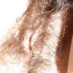 �������� ���� �������