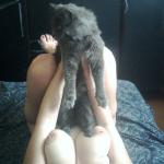 ������� ��������