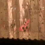 ����� ����