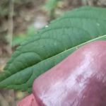 ��� ������� �� ������� � ������