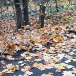 ������� ����� � �����