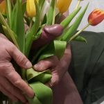 ��� ��� ���� ������ ����� �������